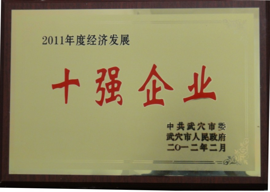 2011年度經(jīng)濟(jì)發(fā)展十強(qiáng)企業(yè)（黃岡亞?wèn)|）