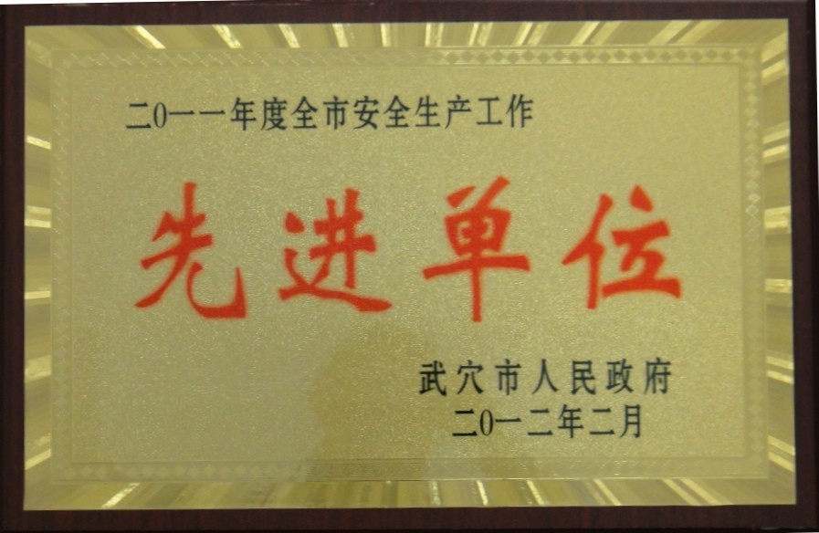 2011年度全市安全生產(chǎn)工作先進(jìn)單位（黃岡亞?wèn)|）