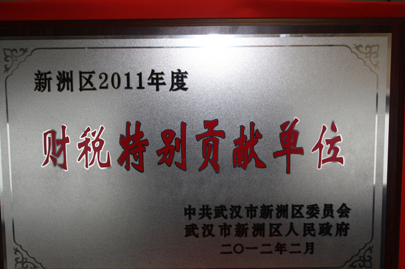 2011年度財稅特別貢獻單位（湖北亞東）