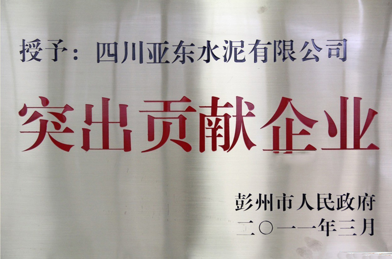 突出貢獻企業（四川亞東）