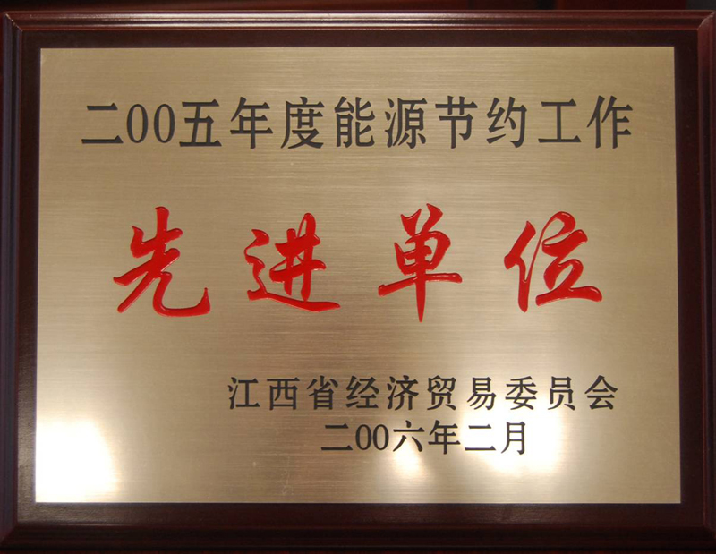 能源節(jié)約工作先進(jìn)單位（江西亞?wèn)|）