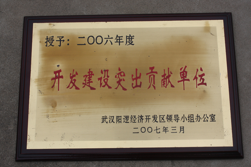 開發(fā)建設(shè)突出貢獻(xiàn)單位（湖北亞?wèn)|）