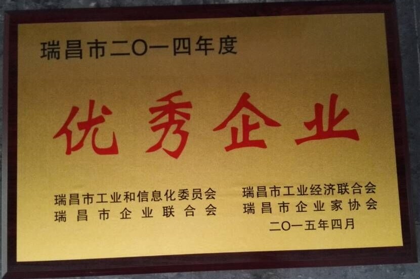 瑞昌市優(yōu)秀企業(yè)獎（江西亞東）