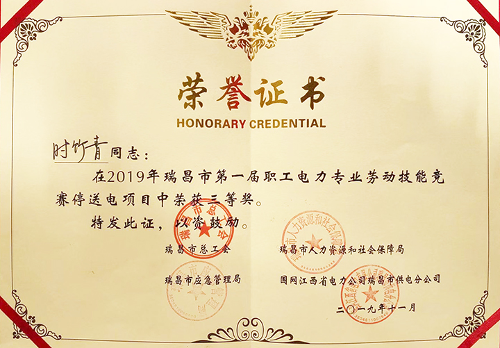 電力專業勞動技能競賽“個人三等獎”（江西亞東）